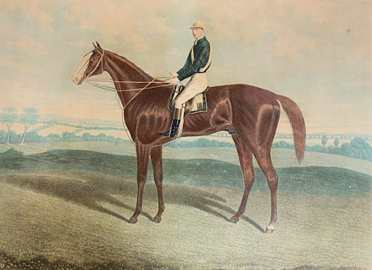 St Leger Winners: St Leger Winner 1864: Blair Athol